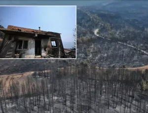 Yüzde 72’si ormanla kaplı Karabük’ün son hali yürek yakıyor