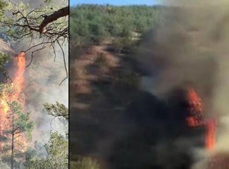 Hatay’daki Orman Yangını: Ekipler Zamanla Yarışıyor!