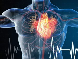 “Doğal” Her Zaman “Masum” Değildir: Bir Ginseng Skandalı