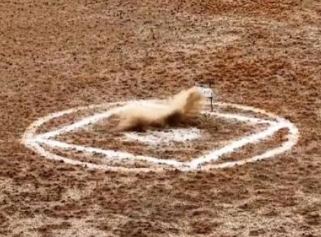 ASELSAN’dan İnanılmaz Hız: 5 Yenilikle Savunma Sanayinde Çığır Açtı!