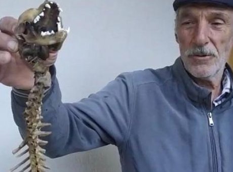 Artvin’de Bulunan Gizemli İskelet, Bilim Dünyasında Şok Etkisi Yarattı!