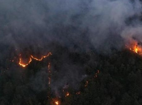 Artvin’de Korkutan Orman Yangını: 5 Hektar Alev Alev!