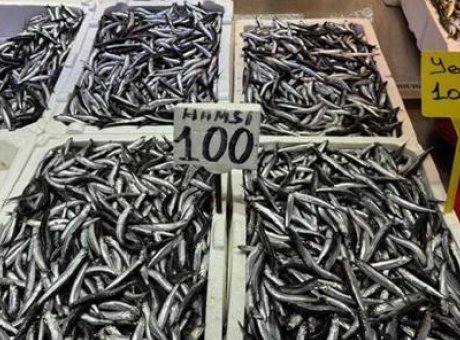 Balık Tezgahlarında Şok Fiyatlar: Hamsi ve İstavrit 100 Lira!