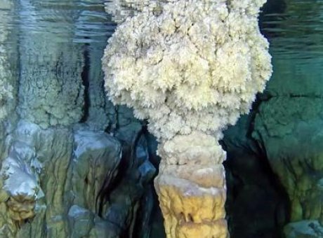 Buzul Çağı’nın Sırları Ortaya Çıktı: Kirpiyle Keşfedilen Mağara Dalgıçları Şaşırttı!