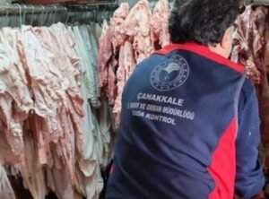 Çanakkale'de Gıda Güvenliği Alarmı: 800'den Fazla İşletmeye Ceza Kesildi!