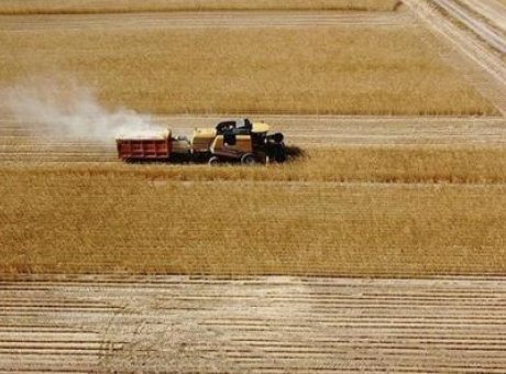 Çiftçilere Beklenen Tarımsal Destek: Bugün 2 Milyar Lira Hesaplara Yatıyor