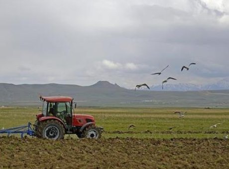 Çiftçilerin Yüzünü Güldüren Destek: 1 Milyar Liralık Ödeme Bugün Hesaplarda!