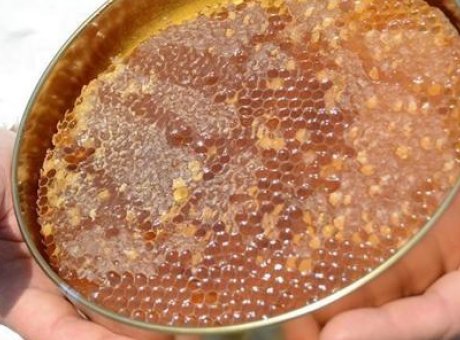 Doğu Karadeniz’den Bal İhracatında Rekor: 1,9 Milyon Dolar!