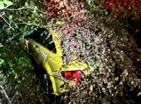 Fırtına ve Sağanak: Taksinin Üzerine Devrilen Ağaç Hayatı Tehlikeye Soktu