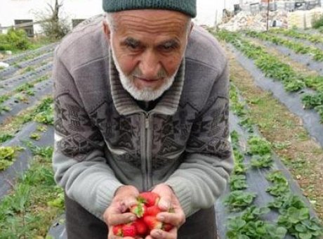 İbrahim Dede’nin Hayratı: Türkiye’nin Yüreklerini Isıtan İyilikseverden Gelen Son Dakika Haberi