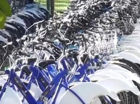 İstanbul’un Bisiklet Projesi: Milyonlarca Lira Değere Rağmen Hurdada Bekliyor!