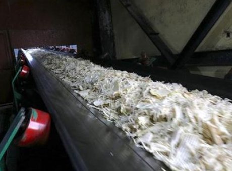 Muş ve Van’da Şeker Üretiminde Rekor: 76 Bin Ton Hedefleniyor!