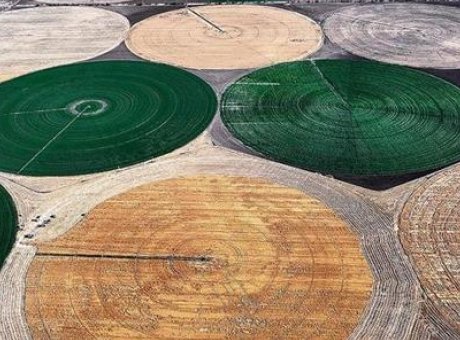 Tarımda Devrim: Lisanslı Depolama Süreleri 24 Aya Çıkıyor!