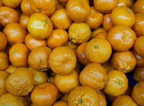 Türkiye’nin Mandalina İhracatı 690 Bin Tona Ulaşarak Tarih Yazdı!