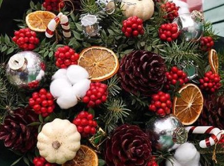 Yeni Yılda Evlerinizi Şenlendirecek: Kokina Çiçeği Fiyatları ve Anlamı